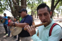 20210430. Suchiapa. La Hoja de la Espadaña es traída en hombros durante días para ser utilizada de manera ritual en las festividades de esta comunidad de la depresión central de Chiapas