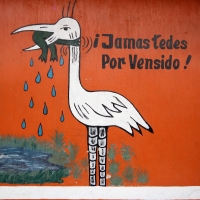 Julio del 2014. Tecún Umán, Guatemala. El nombre del último guerrero maya quiche es el nombre que recibe la ciudad fronteriza que colinda con Ciudad Hidalgo, Chiapas y el rio Suchiate, lugar que es el principal paso fronterizo hacia México muestra su pers