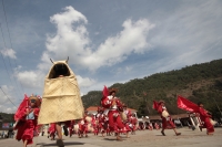 Domingo 11 de febrero del 2018. Tenejapa. La Corrida de la Vaca del Carnaval en Tenejapa. La Corrida de la Vaca conlleva una serie de ritos indí­genas tsentales durante los dí­as de Carnaval. Los danzantes llevan las banderas en un sincronizado andar sobr