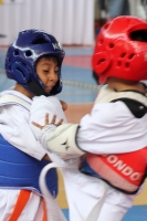 Sábado 18 de noviembre del 2017. Tuxtla Gutiérrez. Aspectos del Torneo Estatal de Tae Kwon Do Justicia Para Todos que se lleva a cabo esta mañana en las instalaciones de la Arena Metropolitana Jorge Cuesy