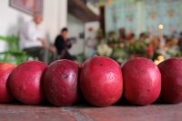 Martes 16 de enero del 2018. Chiapa de Corzo. La ofrenda de San Sebastián. Vestidos a la usanza de los indí­genas de la depresión central de Chiapas, las familias llevan frutas y alimentos por las calles de esta población para ofrecer a San Sebastián.