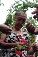 Sábado 7 de septiembre del 2019. San Fernando. Los ritos costumbristas que se realizan en la zona boscosa del Tzimbac durante los preparativos de los festejos de la Virgen del Rosario en la comunidad que los pobladores llamaron Cabeza de Agua o Tzonoapan