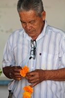 Martes 25 de octubre del 2016. Tuxtla Gutiérrez. Flor de cempasúchil o musajoyo. La ermita del Cerrito es adornada con flores de cempasúchil o musajoyo, ofrenda que es arreglada delicadamente por los maestros tradicionales de la comunida zoque Martes 25 de octubre del 2016. Tuxtla Gutiérrez. Flor de cempasúchil o musajoyo. La ermita del Cerrito es adornada con flores de cempasúchil o musajoyo, ofrenda que es arreglada delicadamente por los maestros tradicionales de la comunida zoque