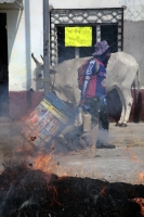 20260404. Berriozábal. La Monta y quema de los judíos este Sábado de Gloria en el Barrio El Mirador.