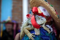 20260504. Suchiapa. Danzantes tradicionales en las festividades del Corpus. Calalá.