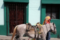 20260808. Chiapa de Corzo. Los Jinetes de San Domingo, se preparan para iniciar el recorrido de los Alférez y Nahuares esta tarde.