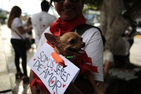 20240630. Tuxtla. Organizaciones defensoras de los animales marchan esta tarde exigiendo leyes que velen por los derechos de las mascotas en Chiapas.